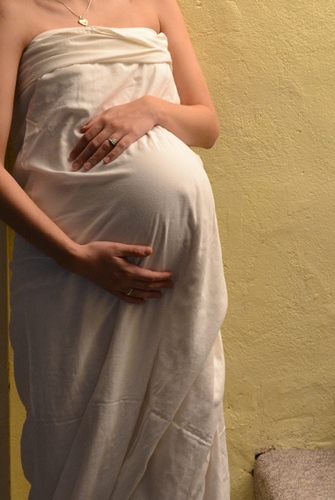 gravid