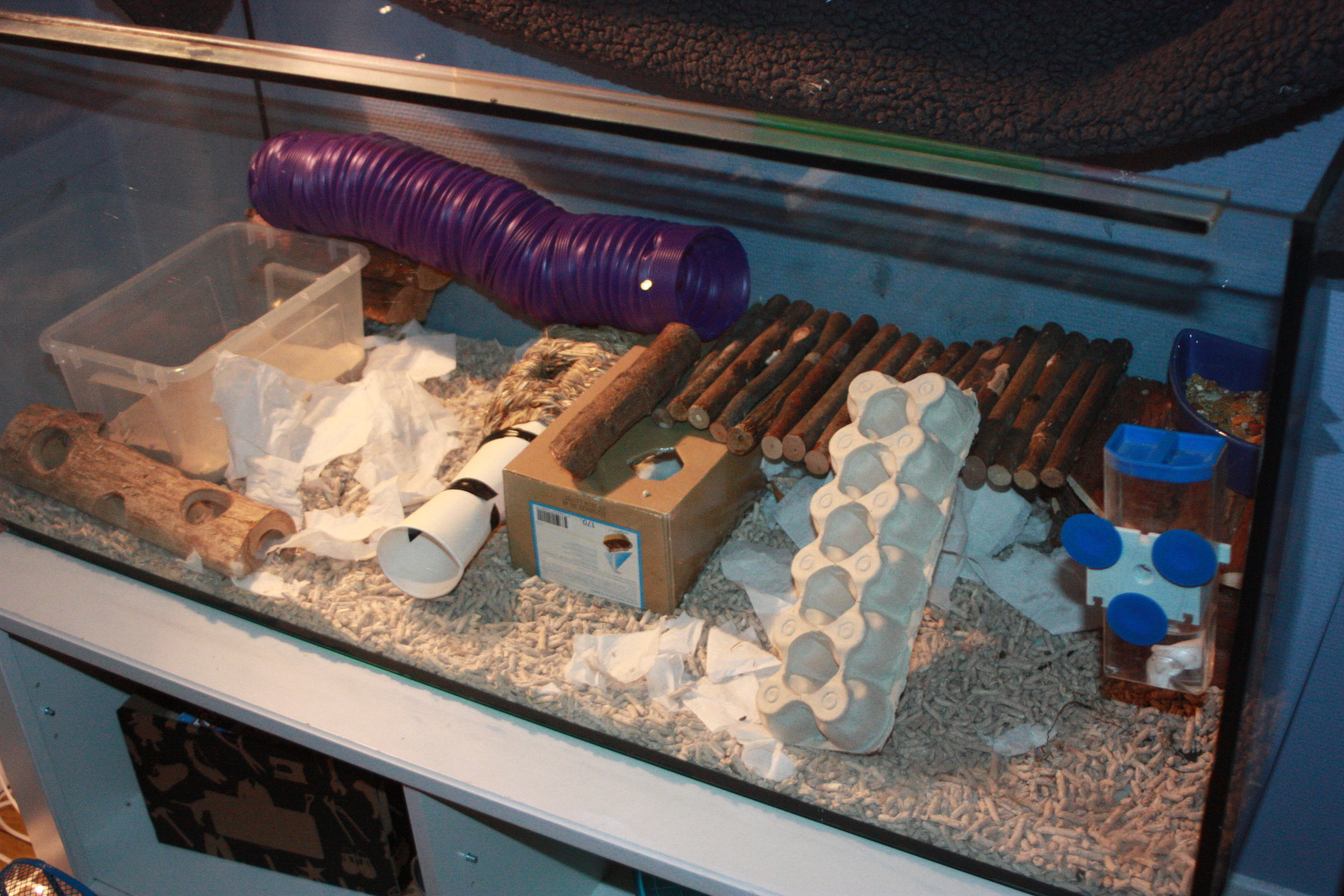 img-1360jpg.jpg