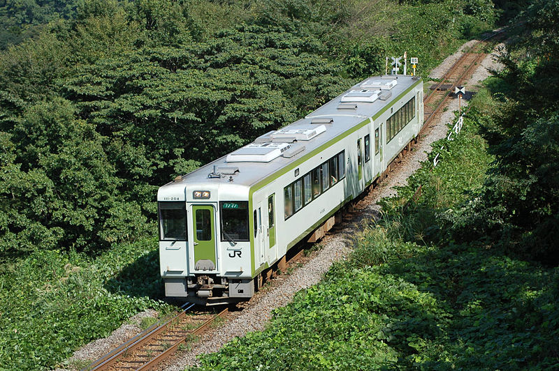 KiHa 100