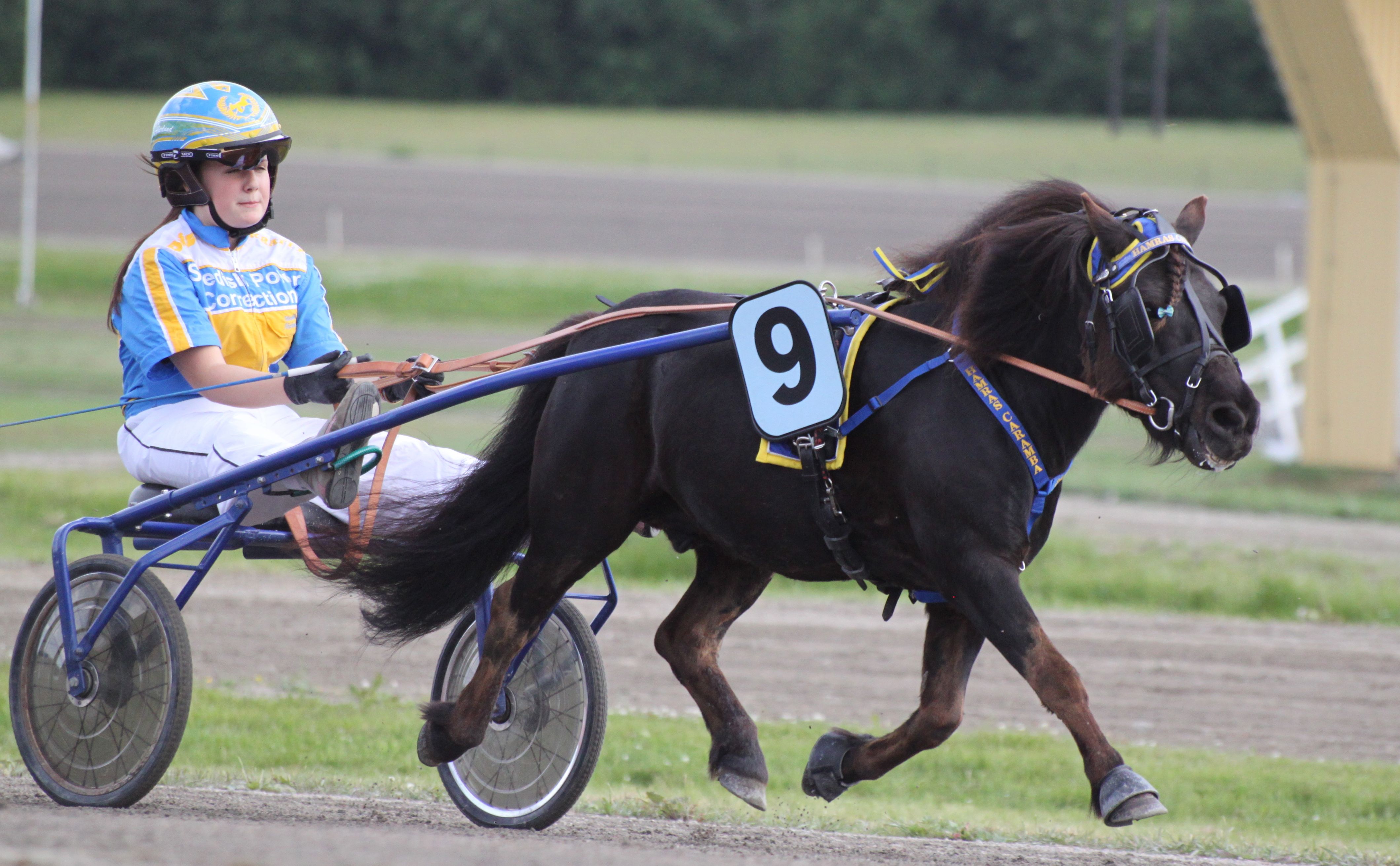 Bild 2