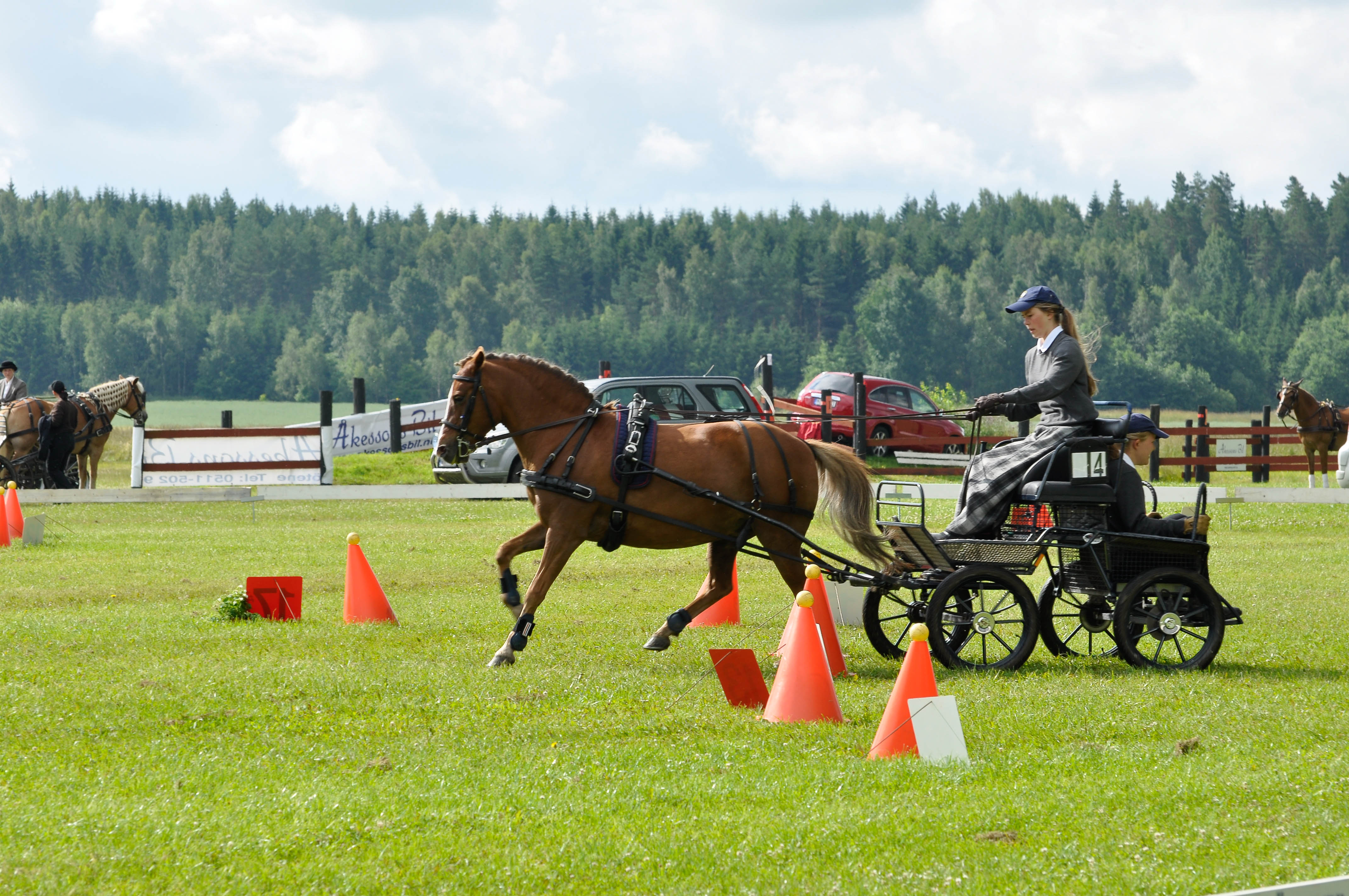 Hanna Almgren kör precision