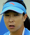 Jie Zheng