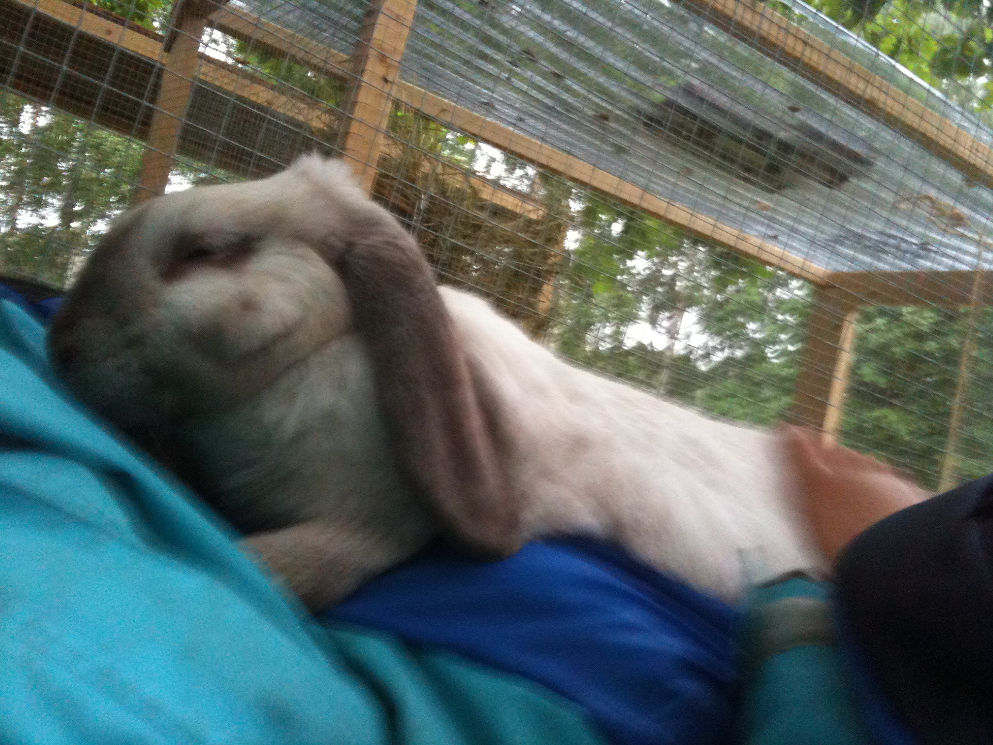 Happy