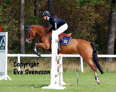 Sturevallens Mira