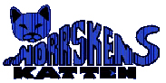 Norrskenskatten