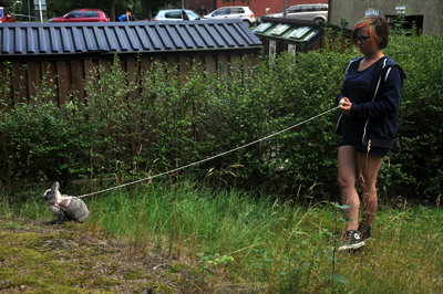 Wilmer med sin lillmatte tar en nypa frisk luft.